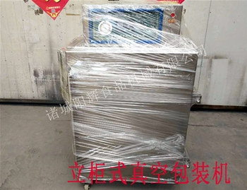 非洲立柜式真空包裝機