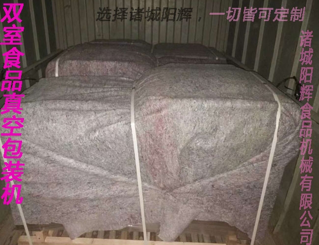 汕頭四臺真空包裝機(jī)